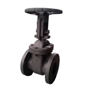 ANSI Flange PN16 150LB Cast Iron Non Rising Stem Gate Valve Bellows Seal or Hard Seal Gate Valve for Water thumbnail-2