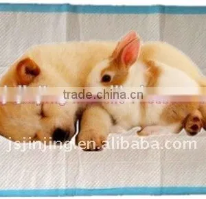 Dog Pet Pad / Pet Pad thumbnail-1