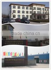 Linyi Yulong Building Materials Co., Ltd. company overview - view 1 thumbnail
