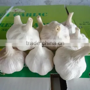 Jining Pretty Jade Food Company Limited company overview - view 4 thumbnail