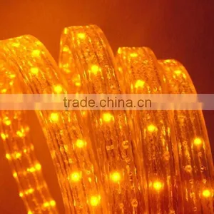 12V/24V/ 110/230v Color Changing LED Flat Rope Lights thumbnail-2
