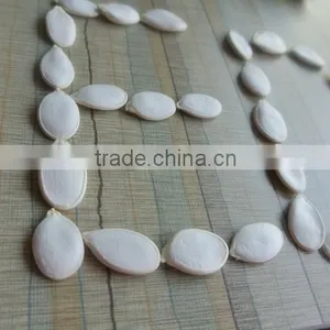 Crop 2015 Snow White Pumpkin Seeds 9cm up thumbnail-4