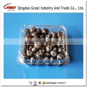 Good Quality Disposable Plastic Blueberry Fruit Packaging Container 125Gram thumbnail-5