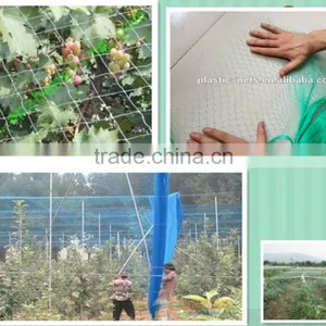 Factory Extruded Plastic Net for Anti Bird/bird Net thumbnail-1