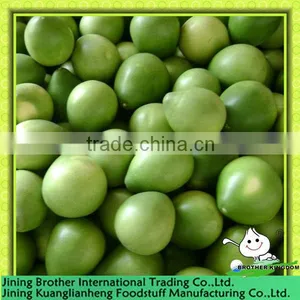 Fresh Green Pomelo thumbnail-1