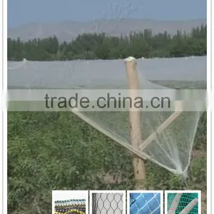Hail Proof Netting for Agriclture thumbnail-1