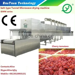 Blueberry Microwve Engergy Drying Sterilization Machine-sterilizing Machine-drying Machine thumbnail-1