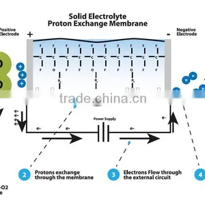 HHO Dry Fuel Cell for Cars Adopted PEM Technology Only Pure Water Needed thumbnail-1
