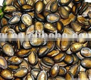 Roasted Watermelon Hot Sale in Market From Our Factory thumbnail-1