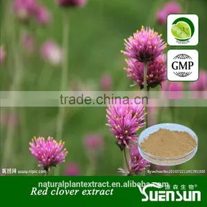Red Clover Extract With Isoflavone thumbnail-1