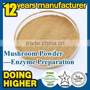 Natural High Quality Mushroom Powder Health Reishi Mushroom Powder thumbnail-1