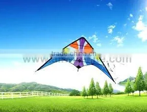 Dual Line Delta Stunt Kites - Curved Edge Kites thumbnail-1