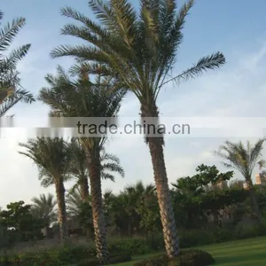 Camouflaged Tree Tower Disguised Antenna Artificial Palm Tree thumbnail-1