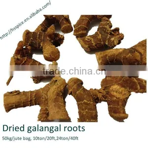 Well Dried Galangal Roots thumbnail-1