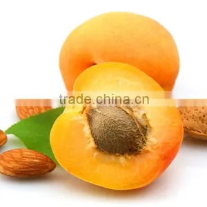 Apricot Kernel thumbnail-4