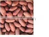 Peanut Kernel thumbnail-1