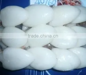 FROZEN BABY CUTTLEFISH WHOLE CLEANED thumbnail-1