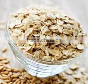 Oats thumbnail-2
