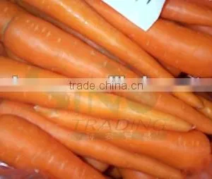 Frozen Carrot thumbnail-1