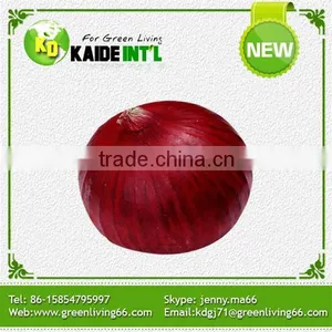 Competitive Price Fresh White Onion thumbnail-2