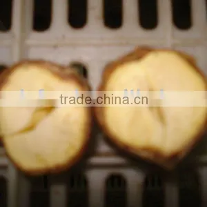 Tasty Chestnut thumbnail-1