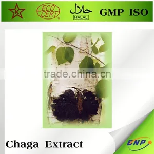 Factory Supply Natural Chaga thumbnail-1
