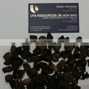 Palm Kernel Shell thumbnail-1