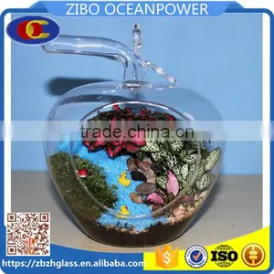 Clear Apple Shape Glass Vase Glass Landscape Bottle 3 Sizes thumbnail-1