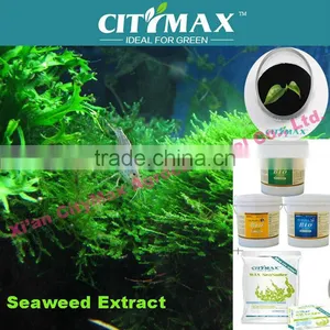 100% Ascophyllum Nodosum Seaweed Fertilizer thumbnail-1