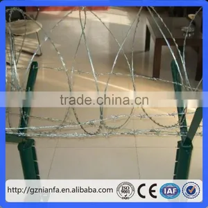 High Tensile Hot Galvanized Coil Concertina Razor Barbed Wire for Security Fence(Guangzhou Factory) thumbnail-6