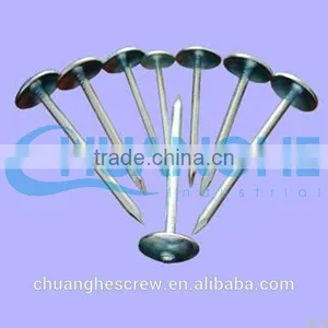 Sanfan-galvanized Thread Rolling Roofing Nails thumbnail-1