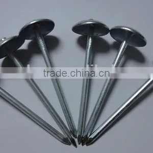2 Inch Umbrella Head Roofing Nail Twisted Shank Roofing Nail With Factory Price thumbnail-1