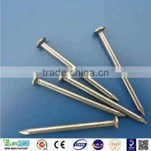 Common Nail Price of Iron Nail Factory thumbnail-5