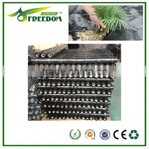 High-quality Plastic Ground Cover for Agriculture thumbnail-5