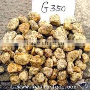 High Polished ! Natural Garden Pebbles for Sale thumbnail-3