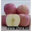 Fuji Apple thumbnail-1