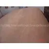 Sell Rotary Okoume Veneer thumbnail-1