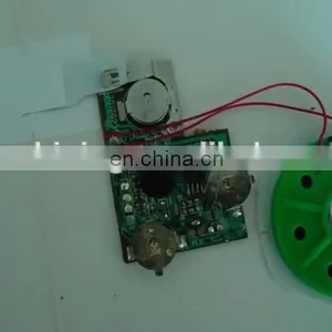 Recordable Sound Module With Push Button thumbnail-6