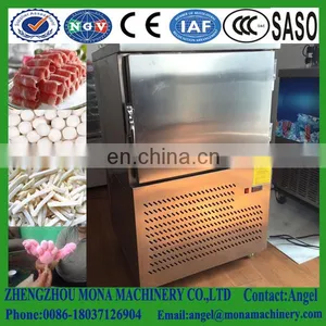 Energy Saving Cryogenic Frozen Cabinet With Competitive Price thumbnail-6