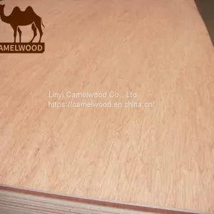 1220x2440mm Commercial Plywood 18mm Bintangor Face Plywood for France Market Bintangor Plywood thumbnail-1