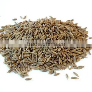 Cumin thumbnail-1