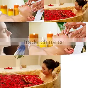 High Quality Pure Safflower Oil Wholesale thumbnail-1