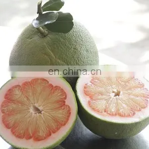 GREEN POMELO FROM VIET NAM thumbnail-1
