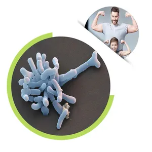 Healthdream Probiotics Powder Bifidobacterium Adolescentis Food Grade Supplement thumbnail-1