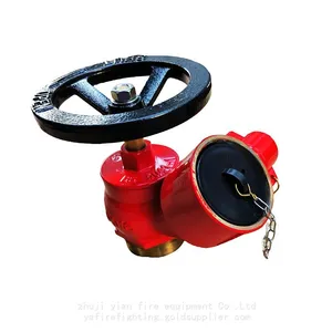 2-1/2 Oblique Landing Valve thumbnail-3
