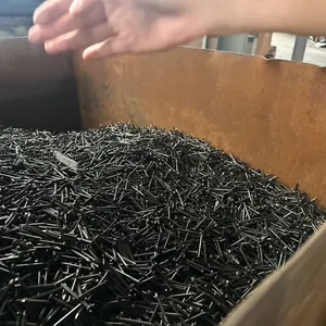 Black Steel Nails for Structural Framing and Roofing Applications thumbnail-3
