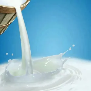 Automatic Dairy Processing Equipment Machine Pasteurized Milk UHT Milk Yogurt Cheese Butter Cream Ghee Production Line Plant thumbnail-2