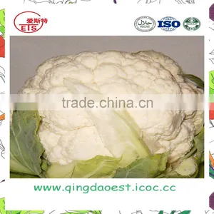 Harvest for Sale in Competitive Price Chinese Fresh Cauliflowers thumbnail-6