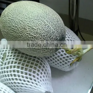 Hami Melon thumbnail-1