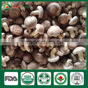 Shiitake Farm,Shiitake Growing Log/Kit,Shiitake Mushroom Log/kit thumbnail-1